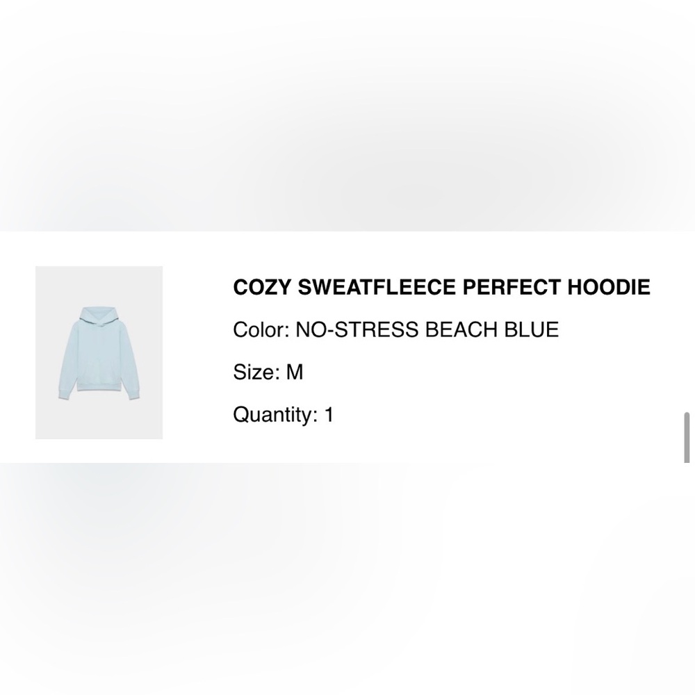 Aritzia Sky Blue Hoodie - Picture 9 of 9
